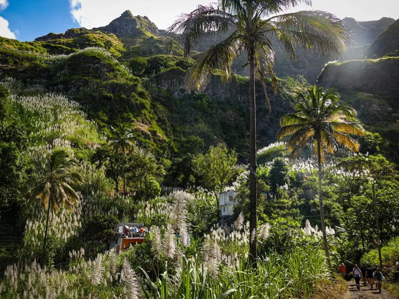Wandergruppe auf Trekkingtour durch ein üppig grünes Tal mit blühendem Zuckerrohr auf der Kapverden-Insel Santo Antão.