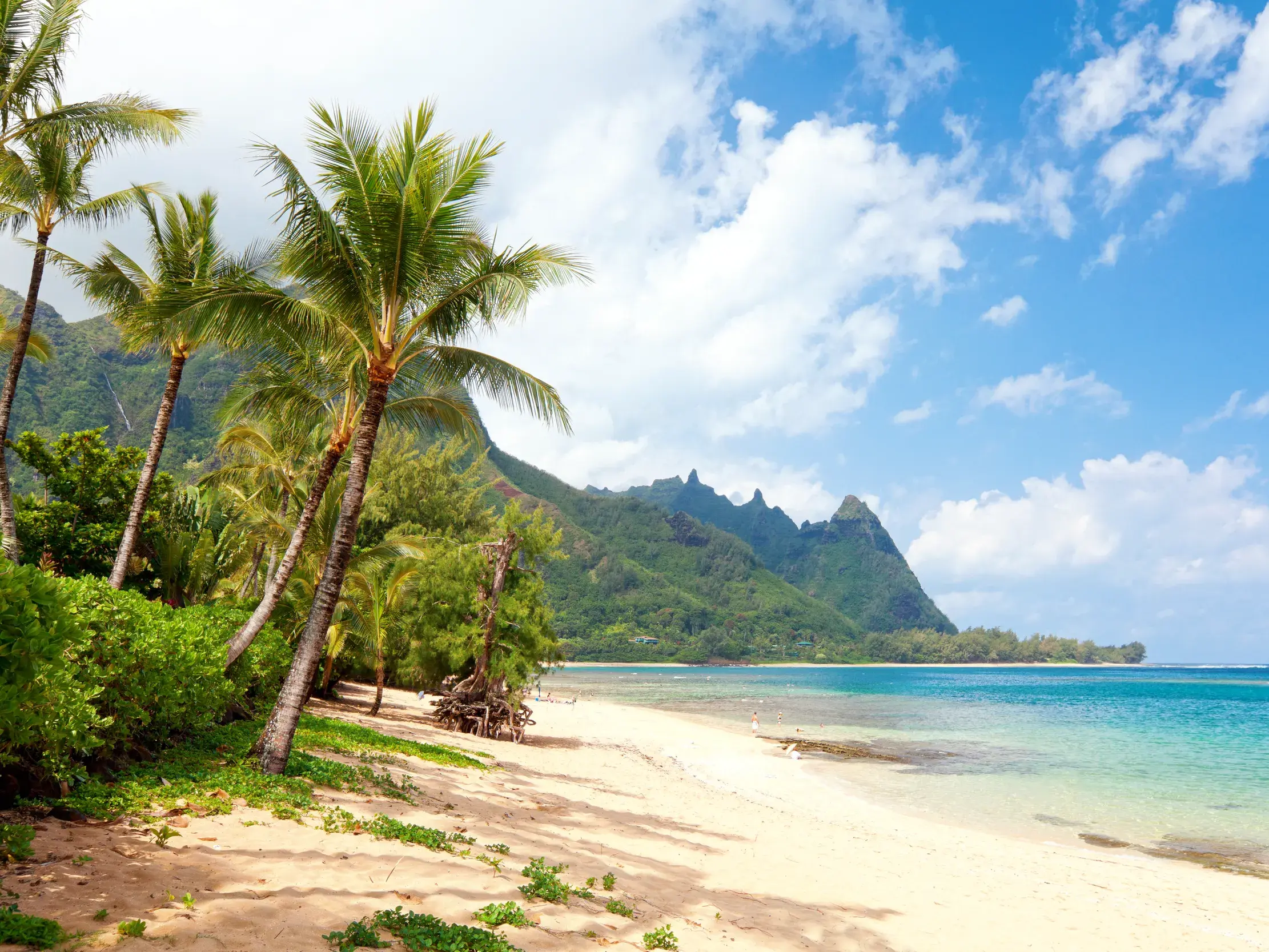 Heller Sandstrand mit Palmen und türkisfarbenem Pazifik vor der beeindruckenden, grünen Bergkulisse der Insel Kauai.