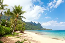 Heller Sandstrand mit Palmen und türkisfarbenem Pazifik vor der beeindruckenden, grünen Bergkulisse der Insel Kauai.