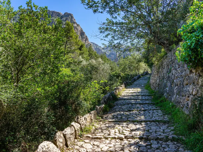 Malerischer Pflasterweg des GR221 führt durch die Schlucht von Biniaraix im Tramuntana-Gebirge auf Mallorca.