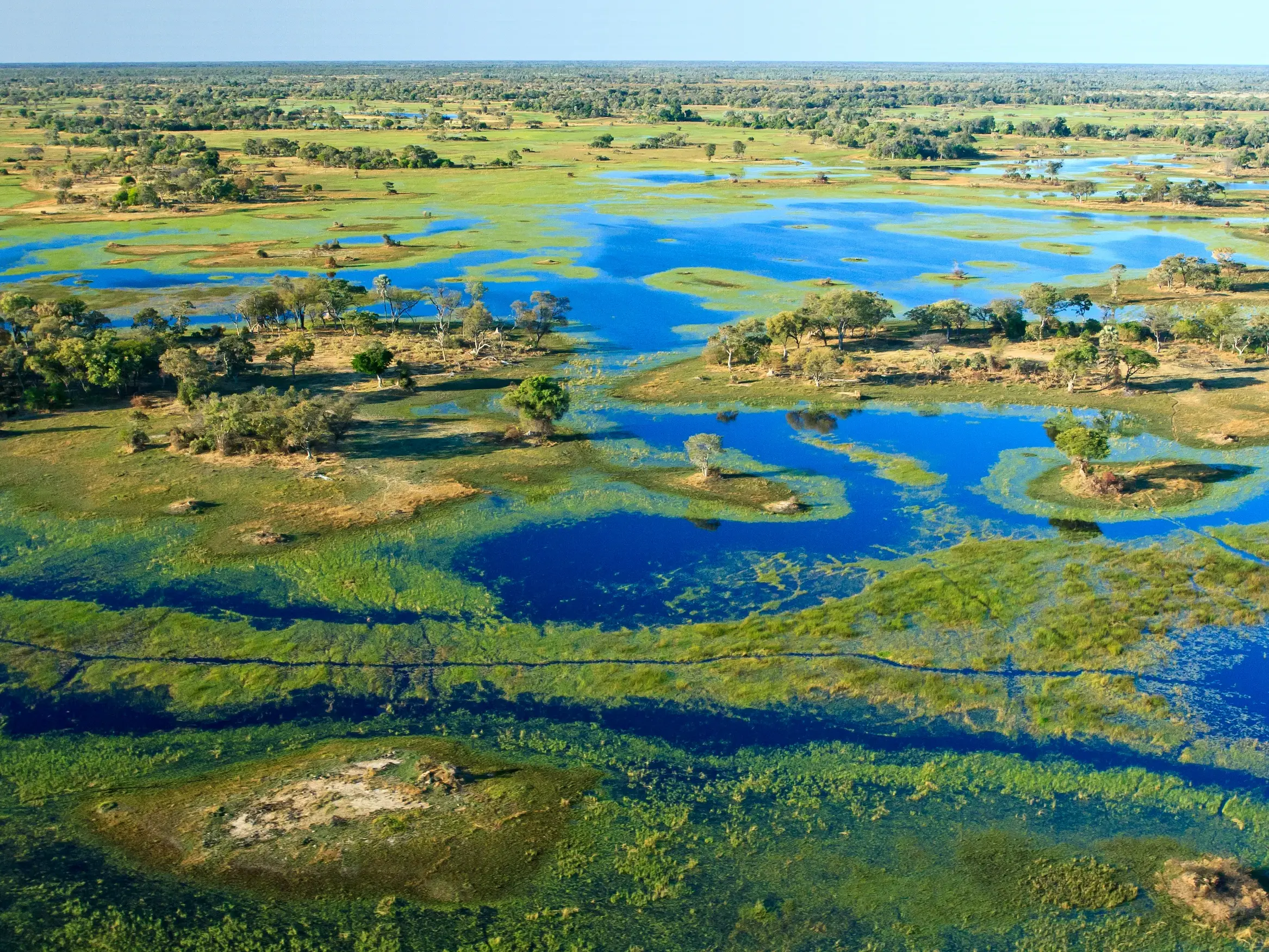 Luftaufnahme des weitläufigen Okavangodeltas in Botswana mit seinem Mosaik aus blauen Wasserwegen und grünen Inseln.
