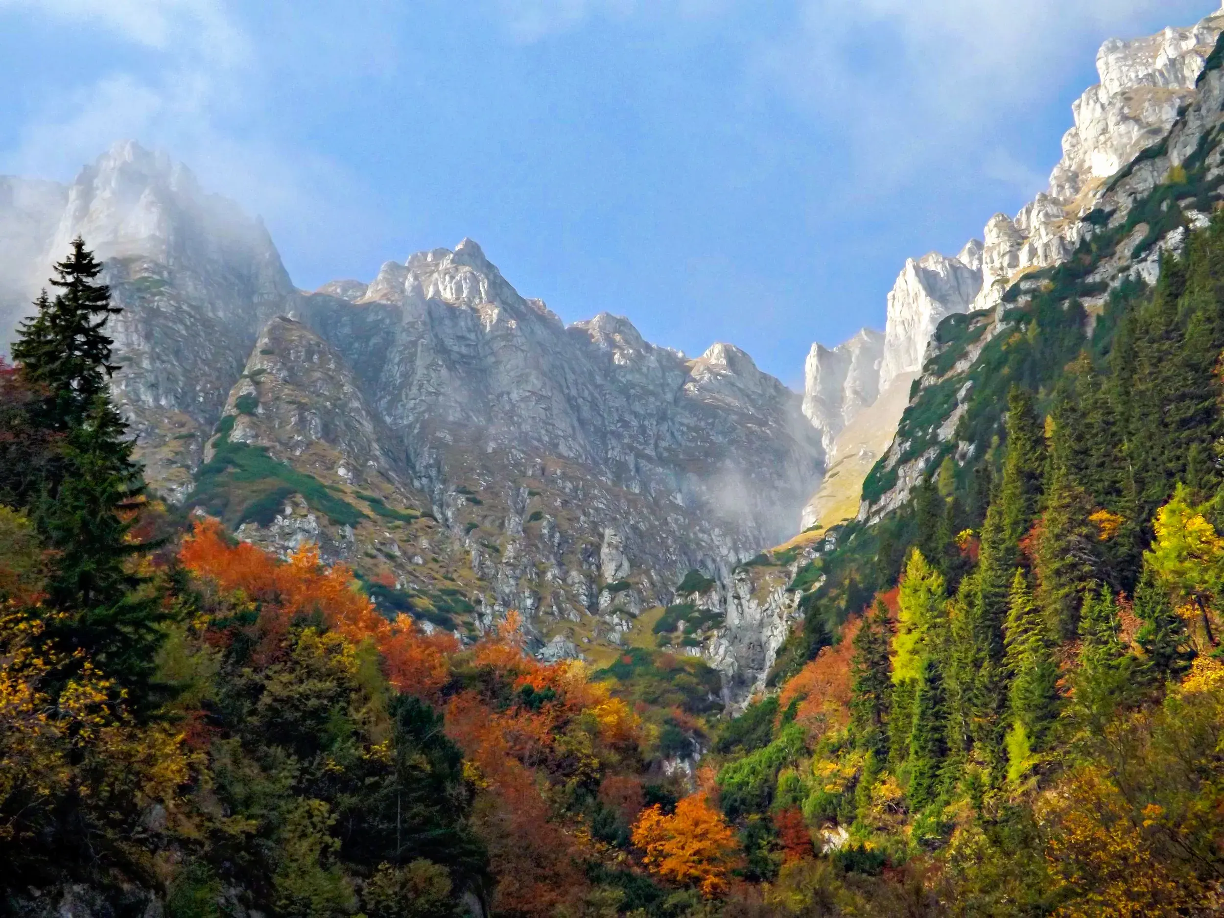 Trekking-Kulisse im Fagaras-Gebirge: Herbstlich gefärbte Wälder vor den schroffen, nebligen Gipfeln der Südkarpaten.