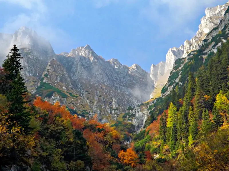 Trekking-Kulisse im Fagaras-Gebirge: Herbstlich gefärbte Wälder vor den schroffen, nebligen Gipfeln der Südkarpaten.