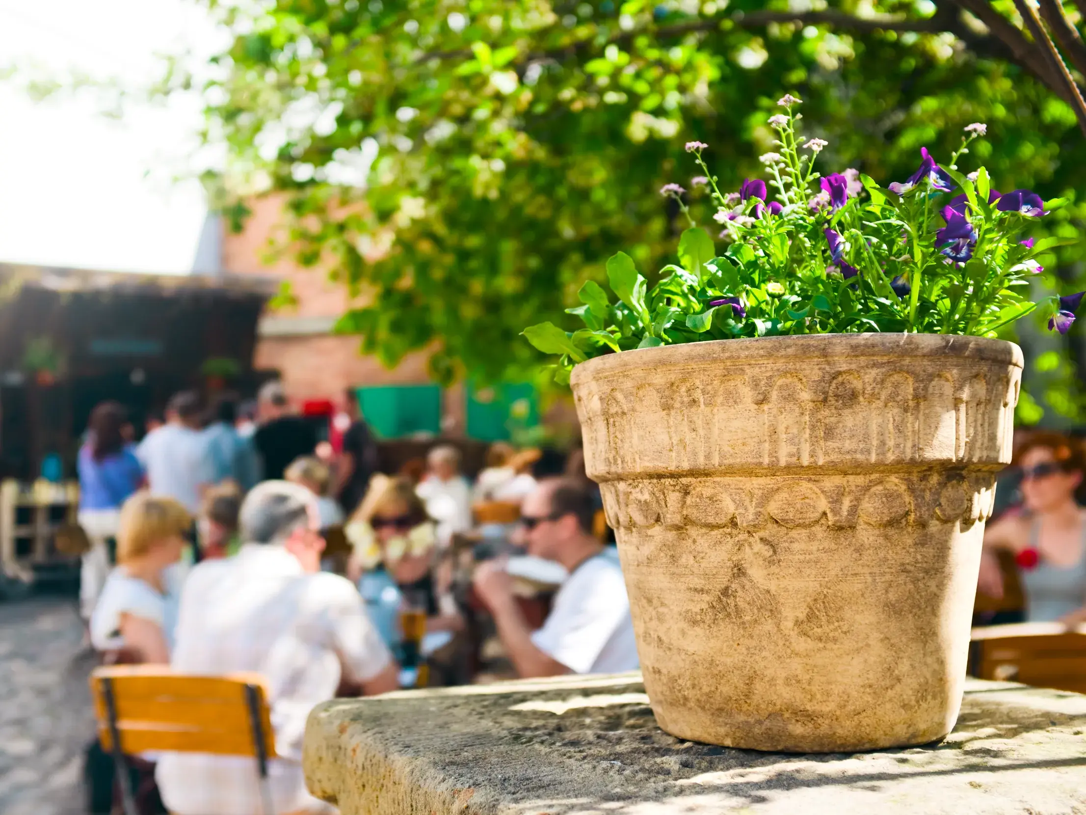 Nahaufnahme eines Terrakotta-Blumentopfs, im Hintergrund genießen Gäste die sonnige Atmosphäre in einem Café in Krakau.