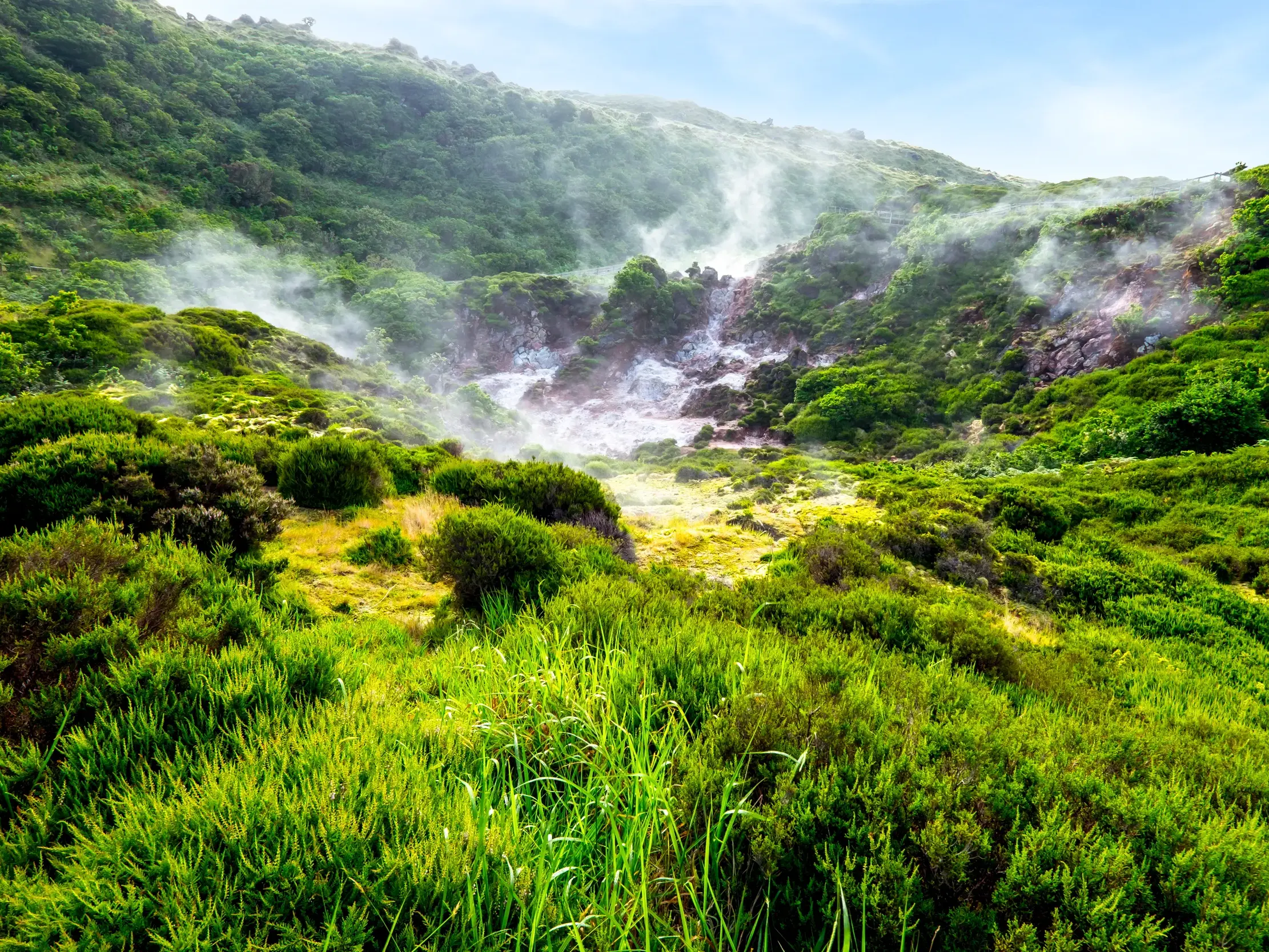 Dampfender Schwefel steigt aus den Fumarolen von Furnas do Enxofre auf Terceira inmitten einer üppig grünen Landschaft.