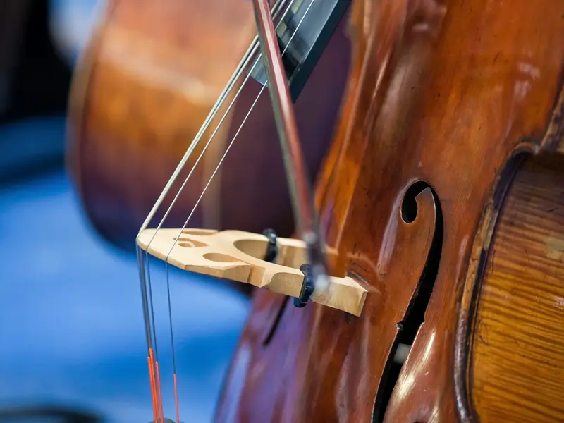 Detailaufnahme eines Cellos mit Streichbogen bei einem klassischen Konzert in Dresden