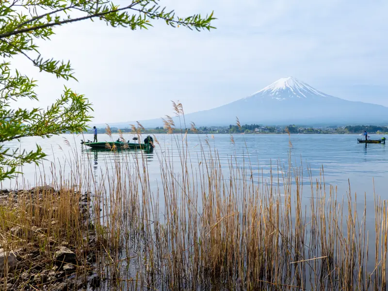 Malerischer Ausblick über den Kawaguchi-See mit Fischerbooten auf den schneebedeckten heiligen Berg Fuji-san in Japan.