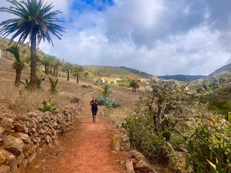 Eine Wanderin mit Rucksack auf einem roten Erdweg, gesäumt von Steinmauern und Palmen in der hügeligen Vulkanlandschaft La Gomeras.