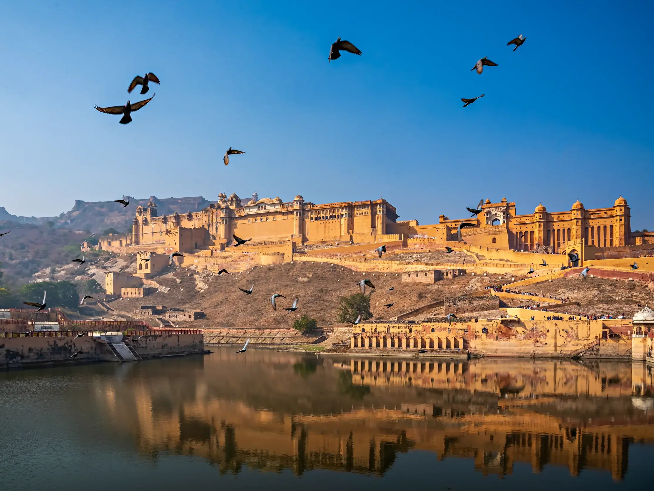 Vögel fliegen über das Amber Fort in Jaipur, dessen goldene Palastanlage sich im Maota-See unter blauem Himmel spiegelt.