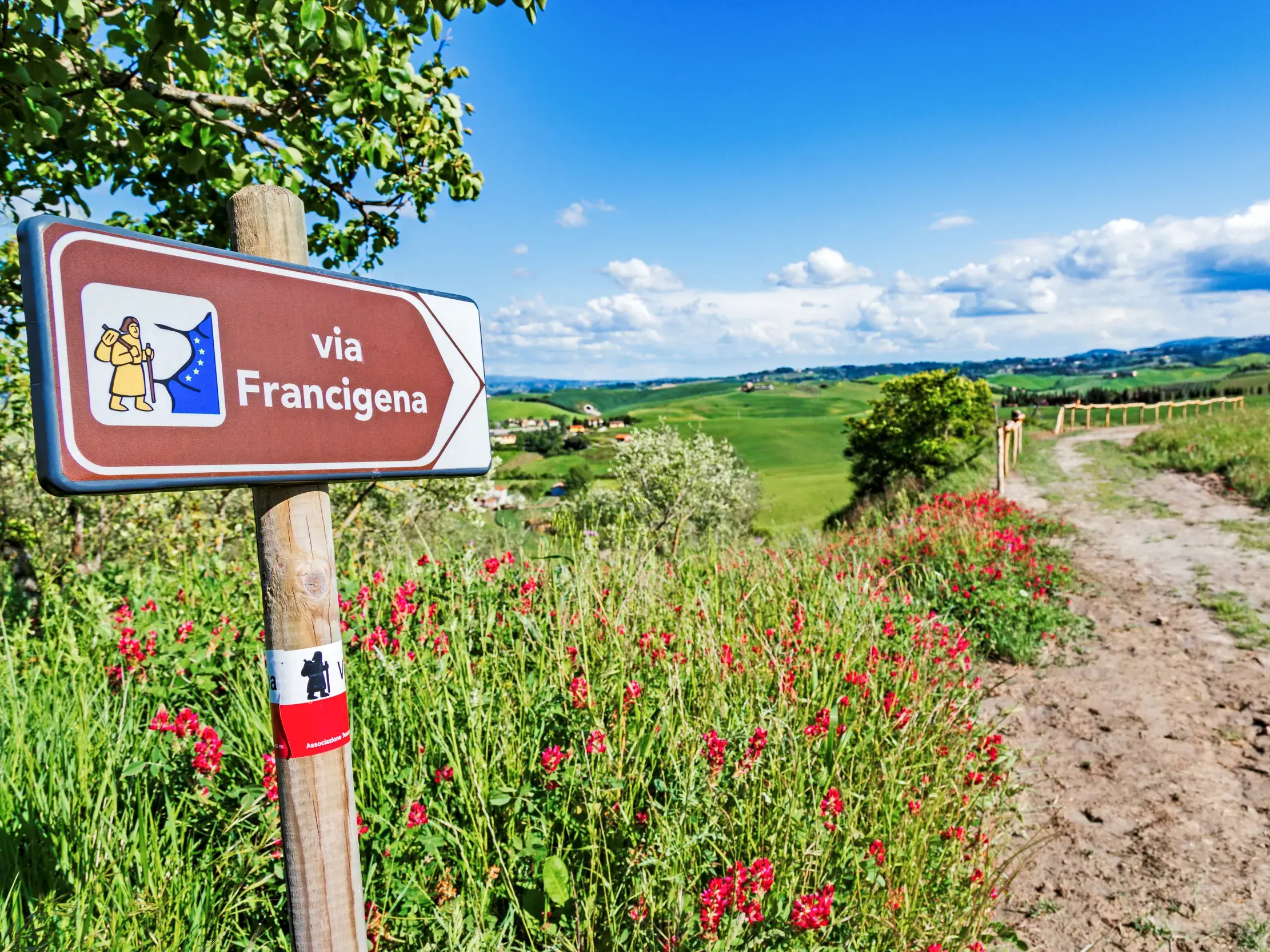 Ein Wegweiser der Via Francigena an einem mit roten Blumen gesäumten Pfad, der durch die grünen Hügel Latiums führt.