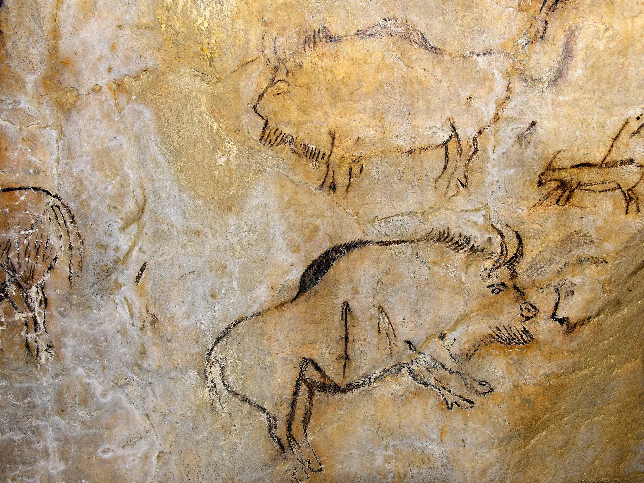Prähistorische Höhlenmalereien von Wisenten und anderen Tieren an der ockerfarbenen Felswand der Höhle von Niaux.