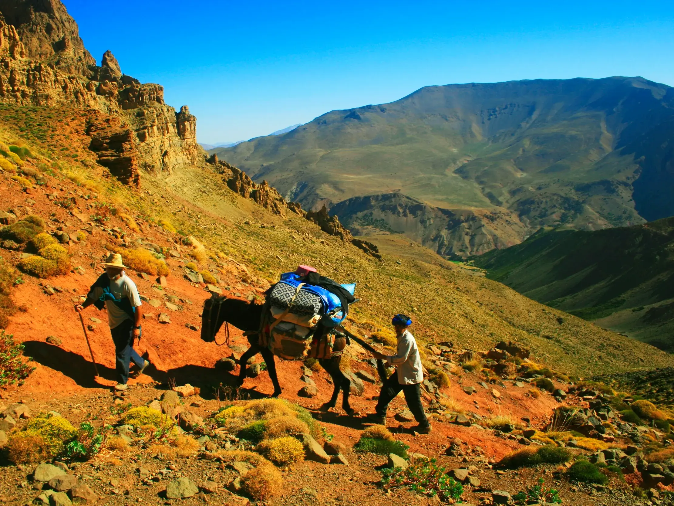 Zwei Männer und ein beladenes Maultier auf einem Trekkingpfad im sonnigen Mgoun-Massiv im Hohen Atlas, Marokko.