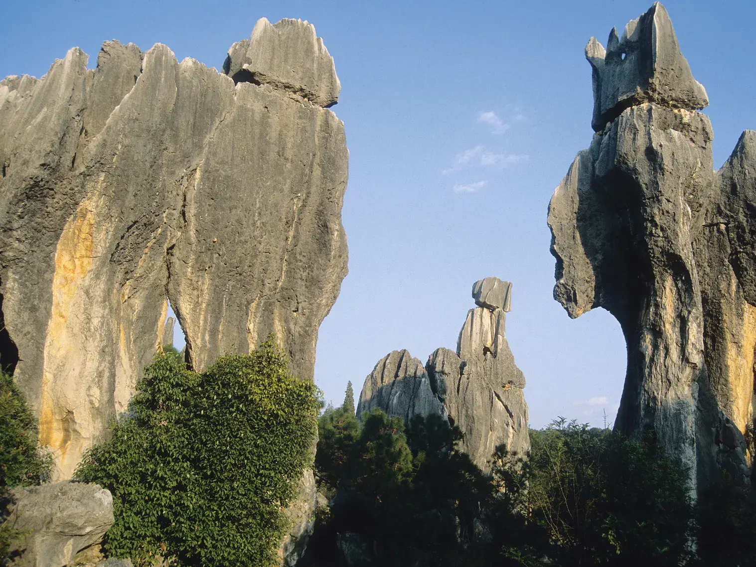 Turmartig aufragende Felsformationen im UNESCO-Weltnaturerbe Steinwald Shilin in der chinesischen Provinz Yunnan.