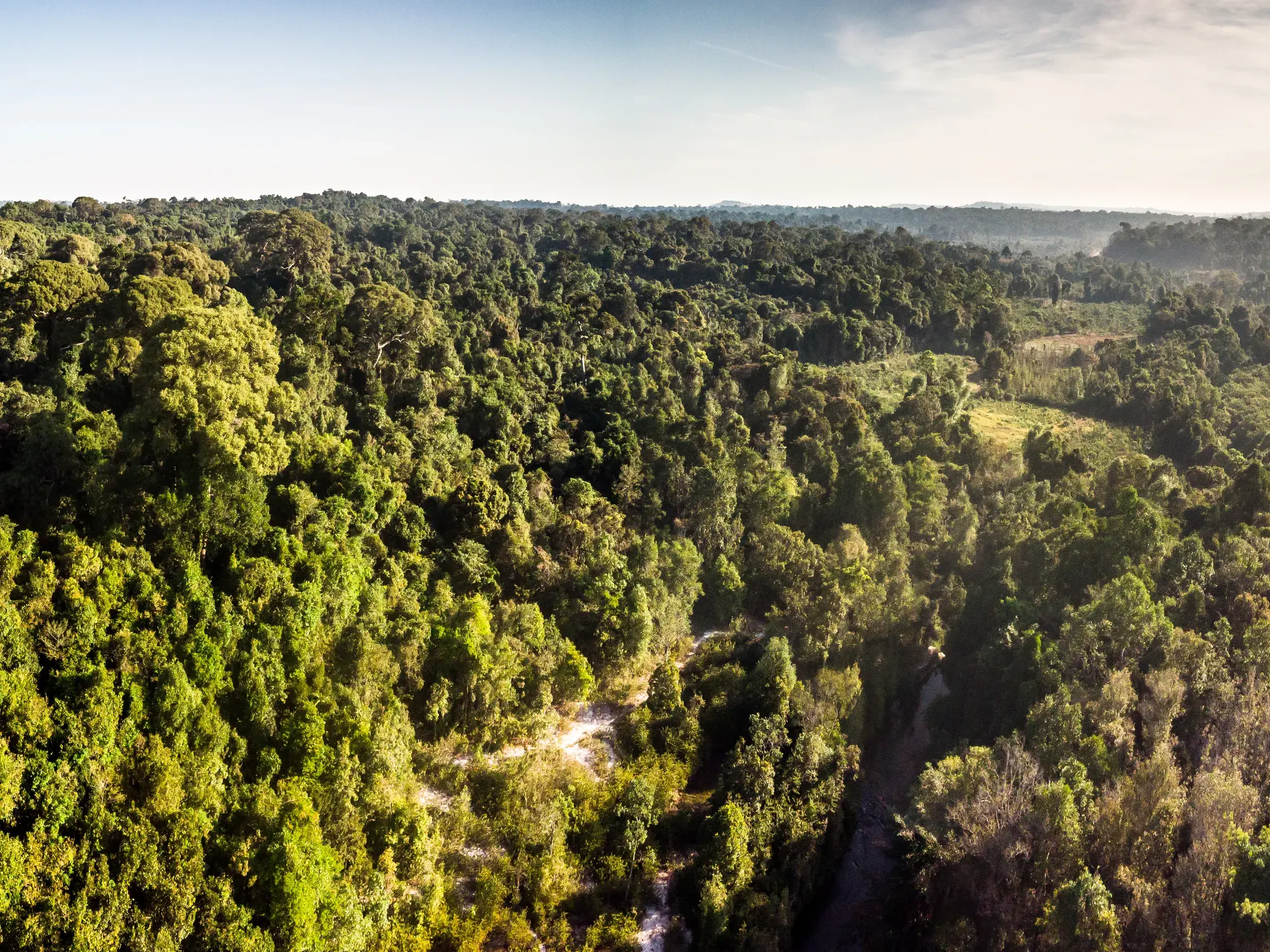 Weitblick über die Baumwipfel des dichten Dschungels im Phnom Kulen Nationalpark, Ziel einer Hauser Trekkingreise in Kambodscha.