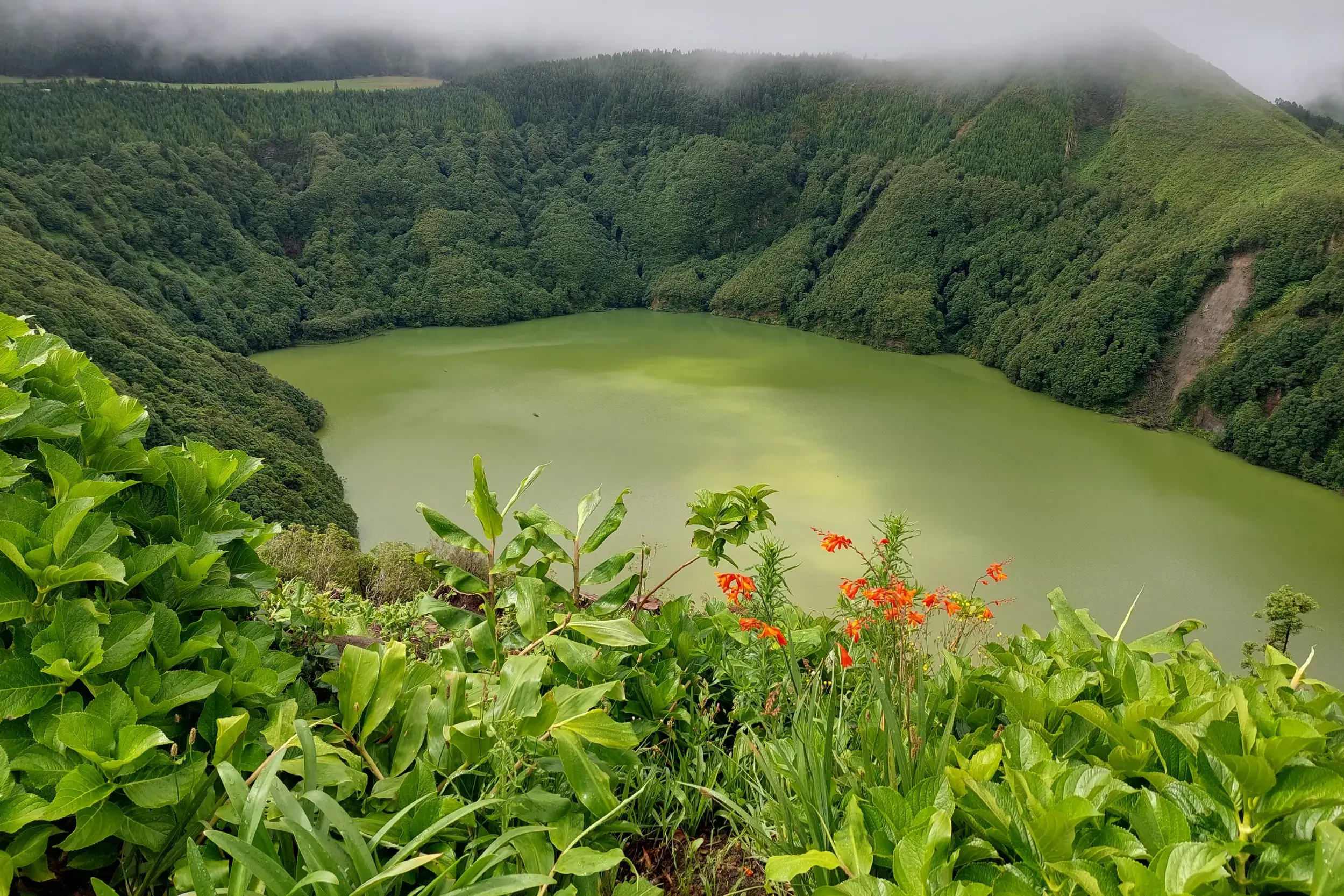Auf einer Radreise auf São Miguel: Aussicht auf den grünen Kratersee von Furnas, umgeben von dicht bewaldeten Hängen.