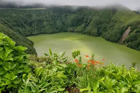 Auf einer Radreise auf São Miguel: Aussicht auf den grünen Kratersee von Furnas, umgeben von dicht bewaldeten Hängen.