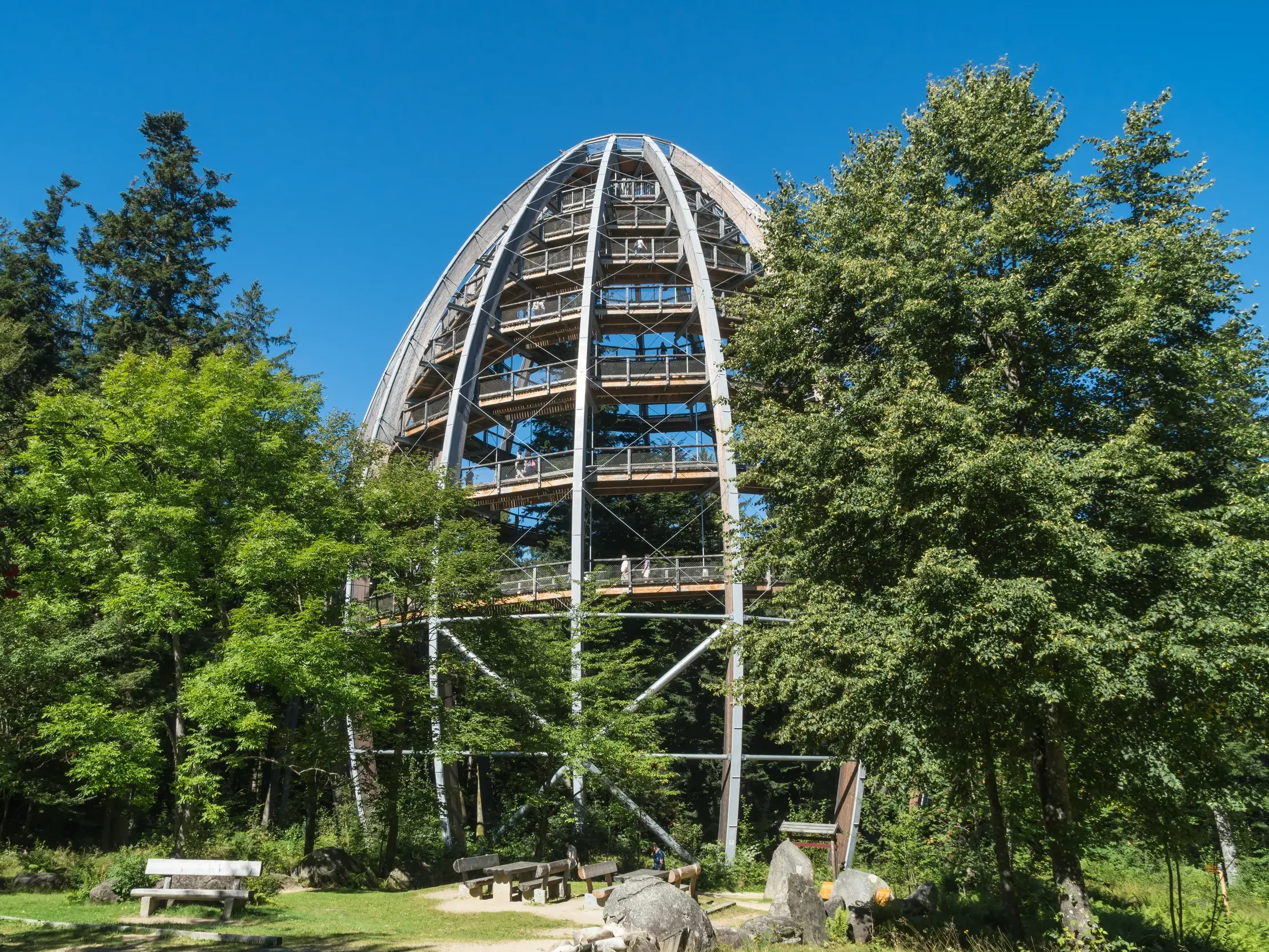 Besucher auf dem modernen, eiförmigen Aussichtsturm eines Baumwipfelpfads inmitten eines sommerlichen, grünen Waldes.