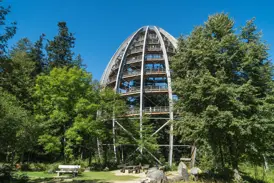 Besucher auf dem modernen, eiförmigen Aussichtsturm eines Baumwipfelpfads inmitten eines sommerlichen, grünen Waldes.