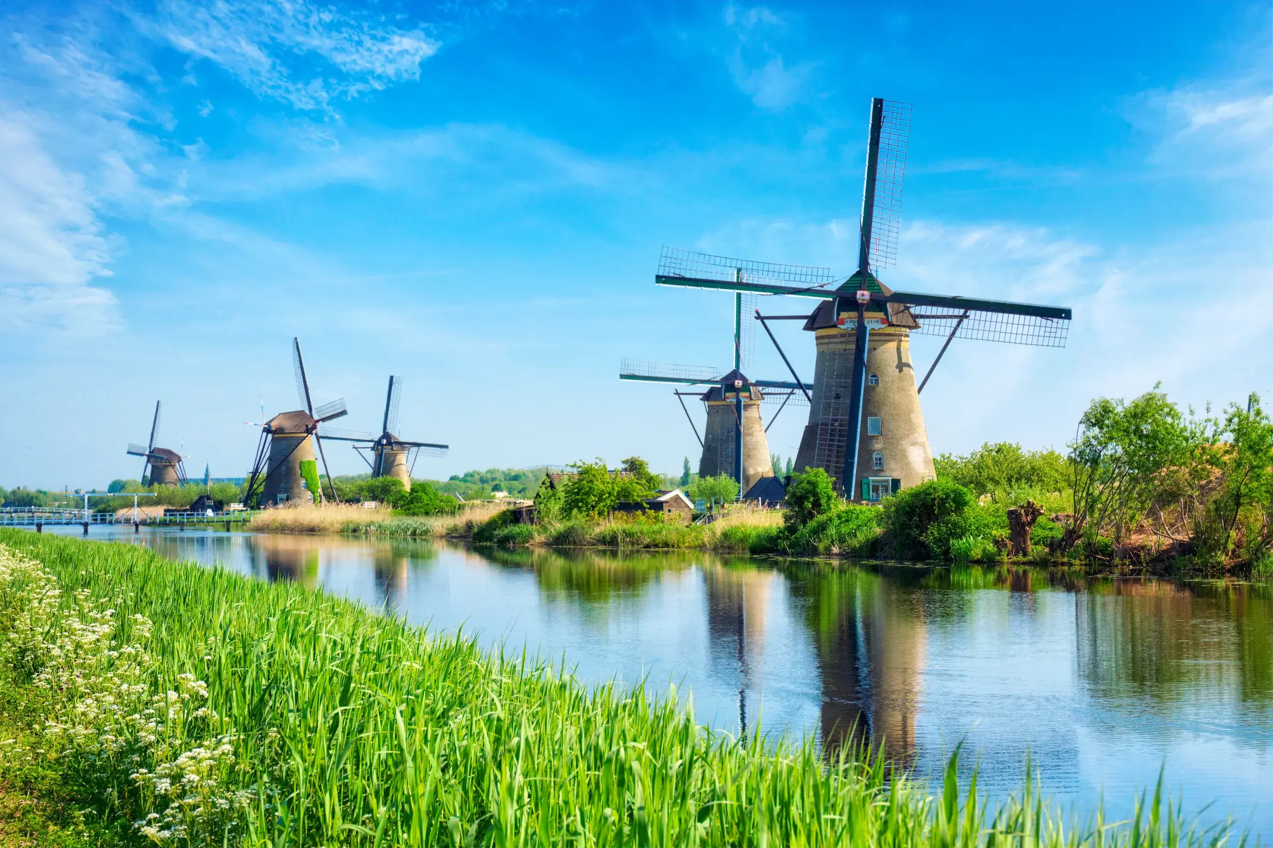 Mehrere traditionelle Windmühlen in Kinderdijk am Ufer eines Kanals, umgeben von grünen Wiesen unter blauem Himmel.