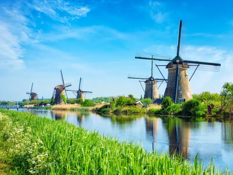 Mehrere traditionelle Windmühlen in Kinderdijk am Ufer eines Kanals, umgeben von grünen Wiesen unter blauem Himmel.