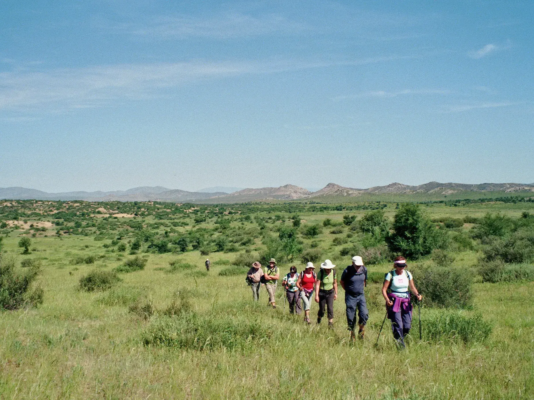 Eine Hauser-Wandergruppe durchquert auf einem Trekking-Pfad die grüne Steppe im Khustai-Nationalpark in der Mongolei.