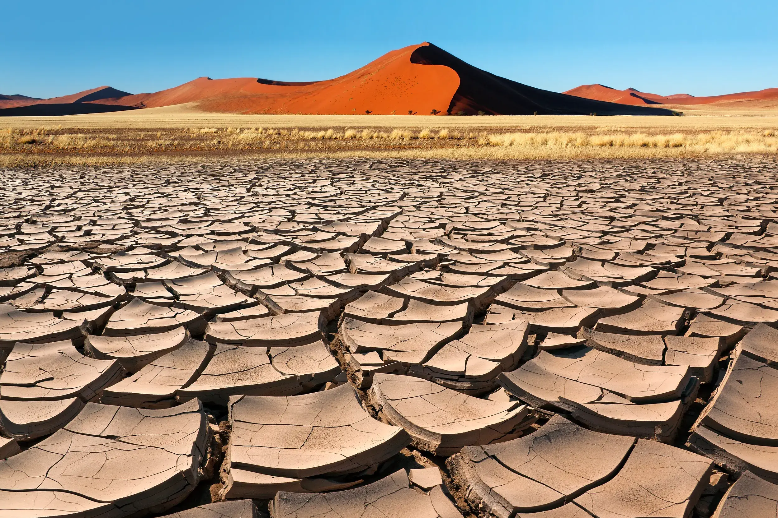 Im Deadvlei können Sie als Reisegast bei einer Rundreise mit Studiosus spektakuläre Fotos vom rissigen, trockenen Lehmboden vor einer hohen, orangefarbenen Sanddüne des Sossusvlei unter klarem, blauem Himmel machen.