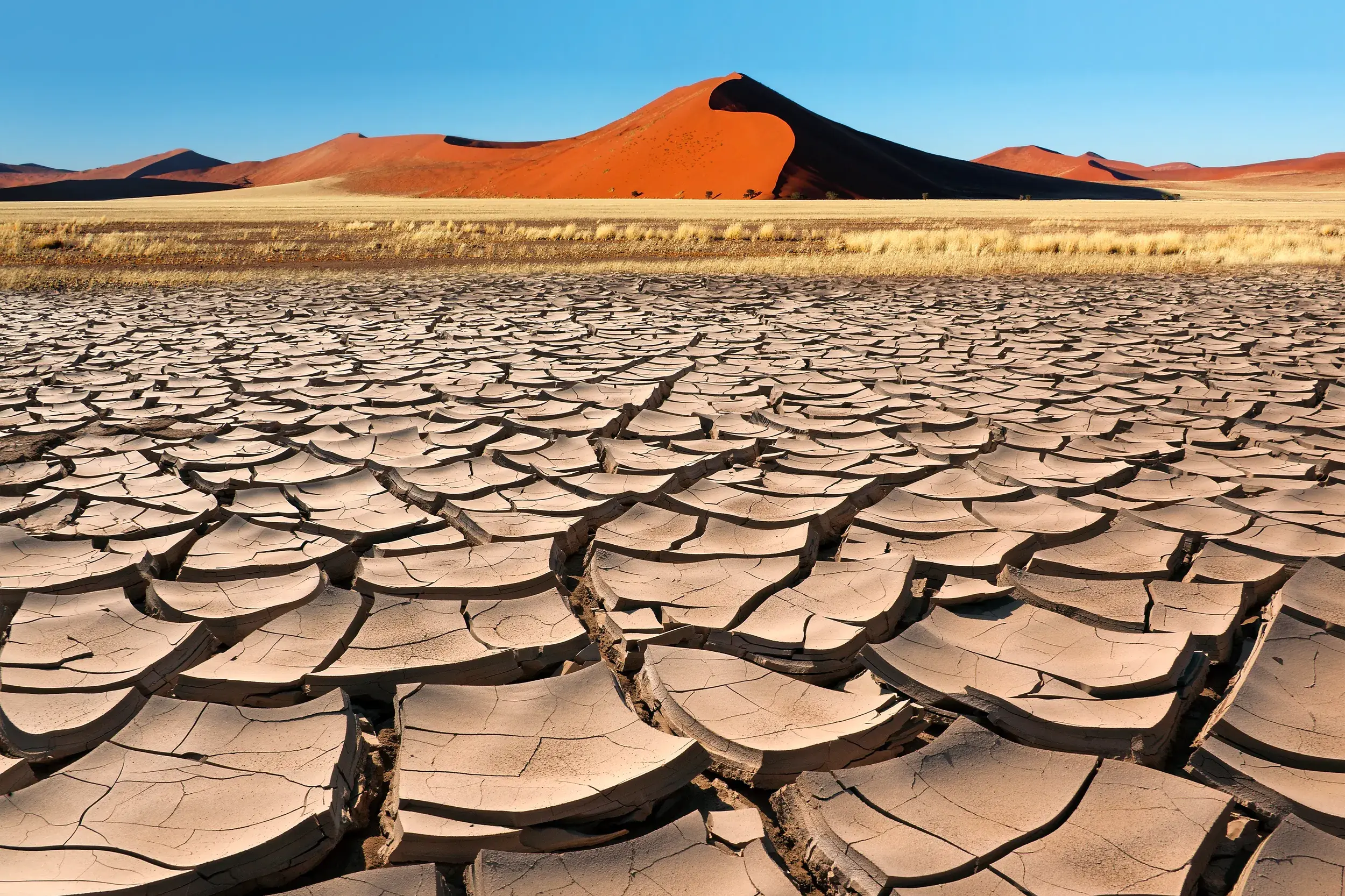 Im Deadvlei können Sie als Reisegast bei einer Rundreise mit Studiosus spektakuläre Fotos vom rissigen, trockenen Lehmboden vor einer hohen, orangefarbenen Sanddüne des Sossusvlei unter klarem, blauem Himmel machen.