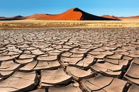 Im Deadvlei können Sie als Reisegast bei einer Rundreise mit Studiosus spektakuläre Fotos vom rissigen, trockenen Lehmboden vor einer hohen, orangefarbenen Sanddüne des Sossusvlei unter klarem, blauem Himmel machen.