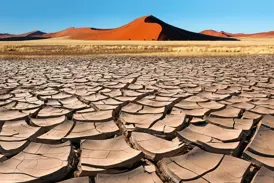 Im Deadvlei können Sie als Reisegast bei einer Rundreise mit Studiosus spektakuläre Fotos vom rissigen, trockenen Lehmboden vor einer hohen, orangefarbenen Sanddüne des Sossusvlei unter klarem, blauem Himmel machen.