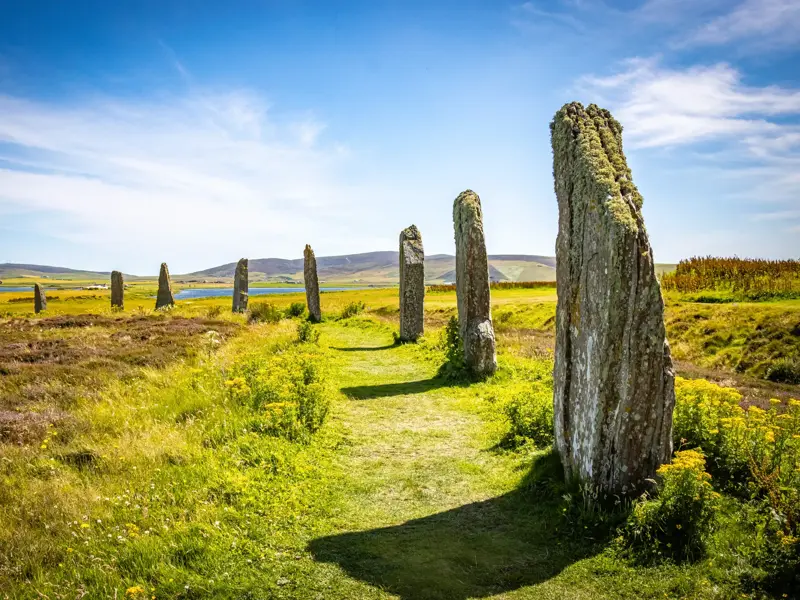 Die prähistorischen, moosbewachsenen Megalithen des Ring of Brodgar auf den Orkneys unter blauem Himmel in Schottland.