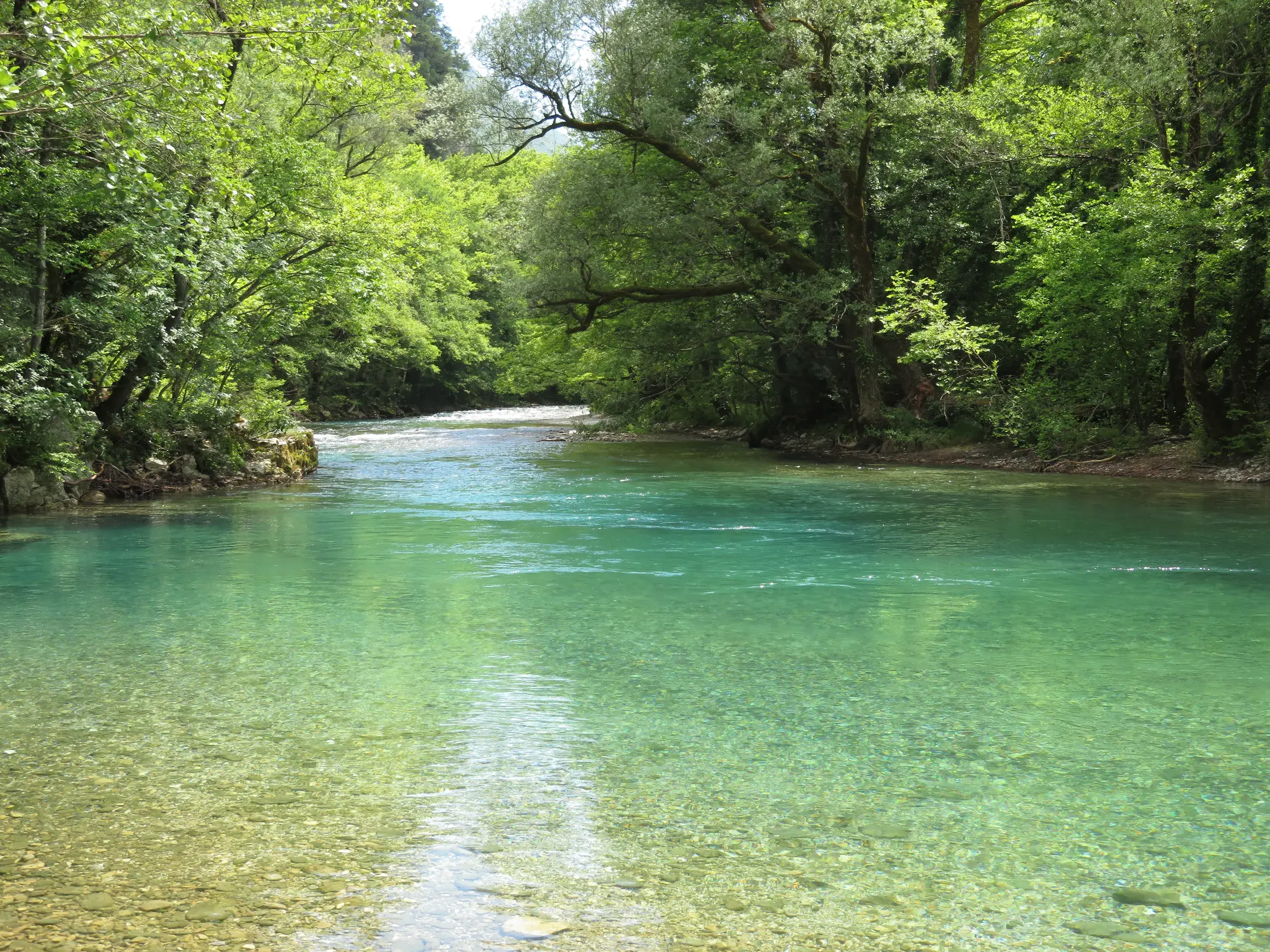 Klares, türkises Wasser des Voidomatis Flusses umgeben von dichten Wäldern beim Wandern in der griechischen Zagori-Region.