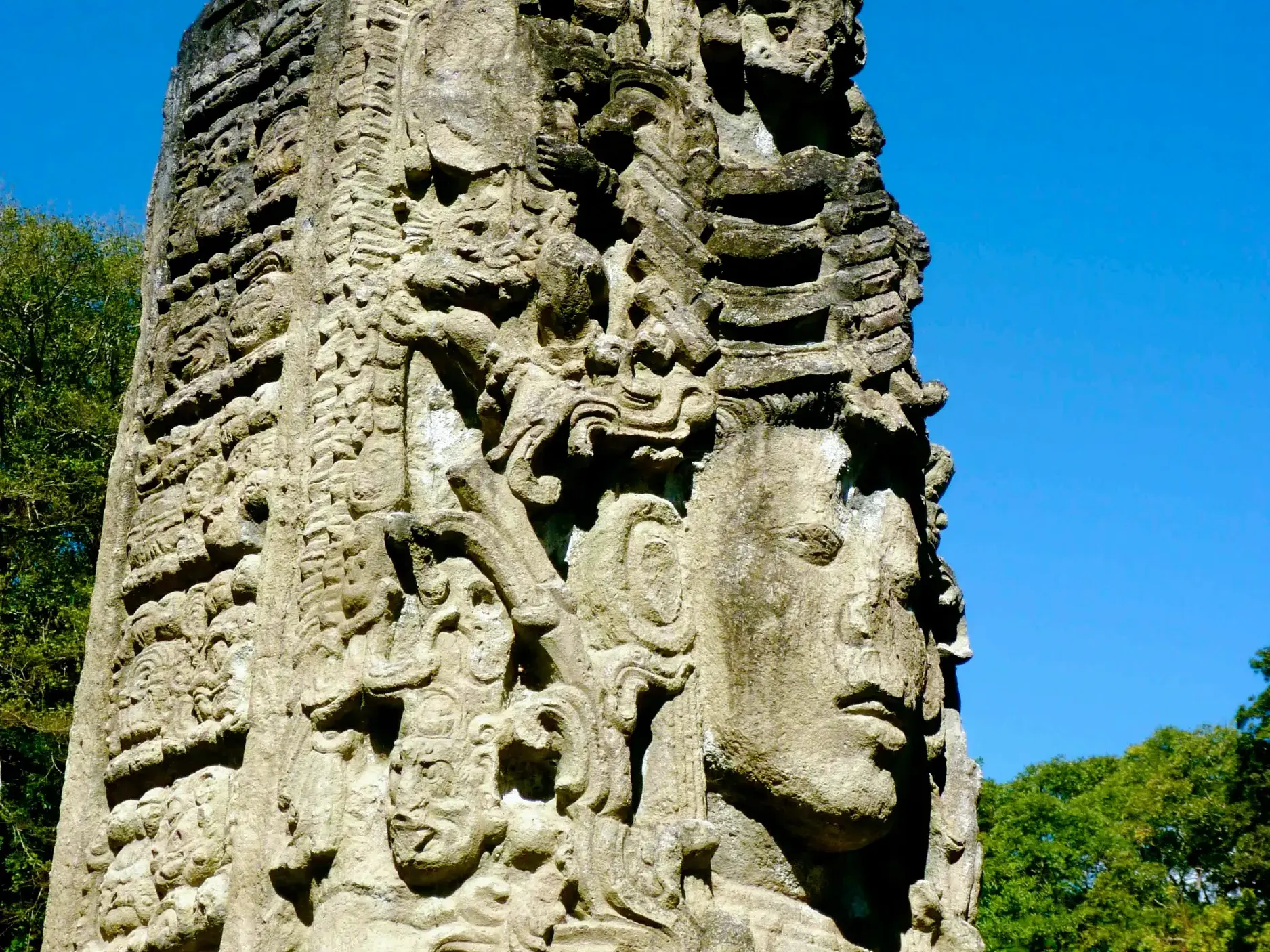 Kunstvoll verzierte Maya-Stele in der UNESCO-Welterbestätte Copán mit dem steinernen Gesicht eines Herrschers im Profil.