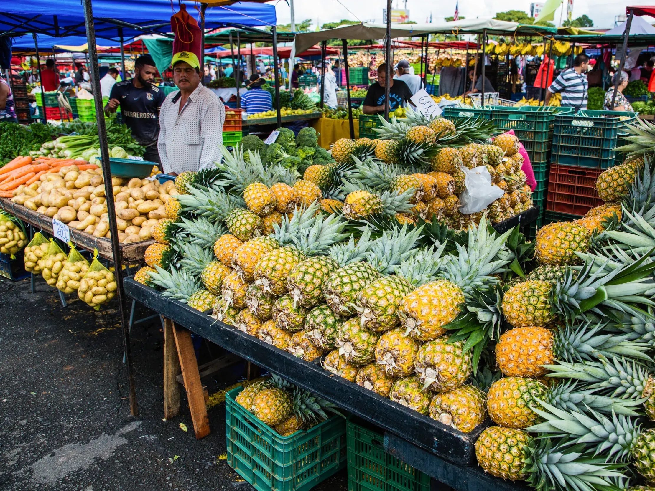 Einheimischer Händler an seinem Marktstand voller frischer Ananas und Gemüse auf dem Bauernmarkt von Zapote in Costa Rica.