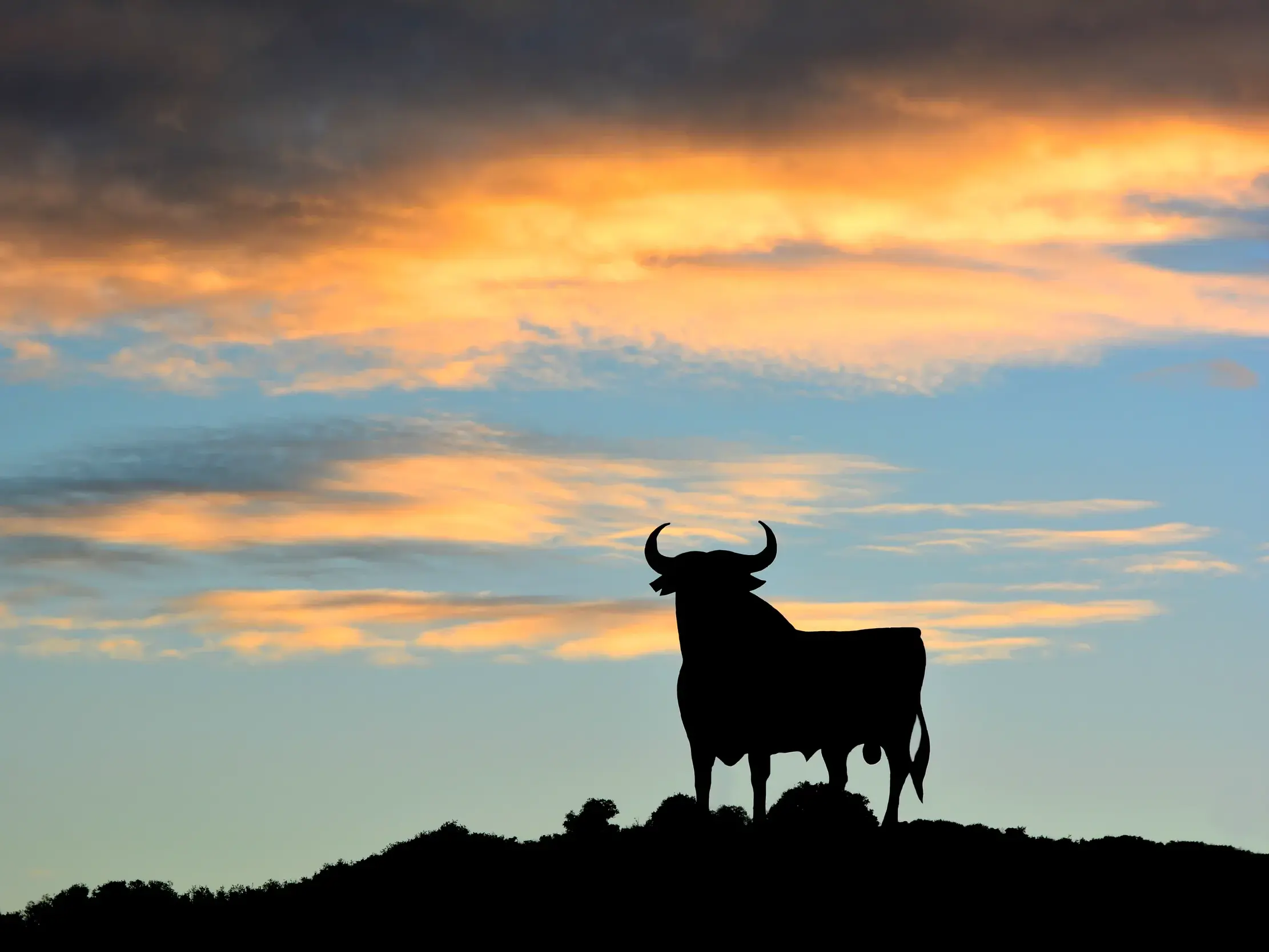 Die Silhouette eines Stieres bei Ronda als Symbol für die andalusische Leidenschaft vor einem stimmungsvollen Sonnenuntergang.