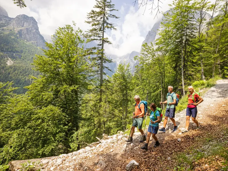 Eine vierköpfige Wandergruppe mit Rucksäcken und Stöcken wandert auf einem Waldpfad in den sonnigen Brenta-Dolomiten.