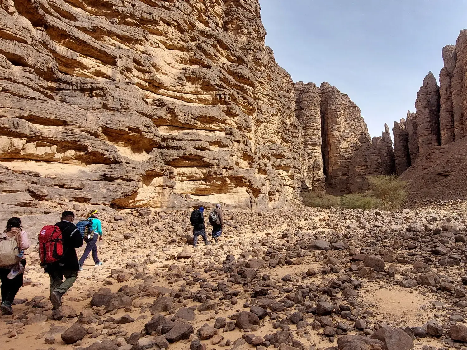 Eine kleine Trekkinggruppe mit Rucksäcken wandert durch eine trockene, steinige Schlucht mit hohen, erodierten Sandsteinwänden im Tassili n'Ajjer Nationalpark in der algerischen Sahara.