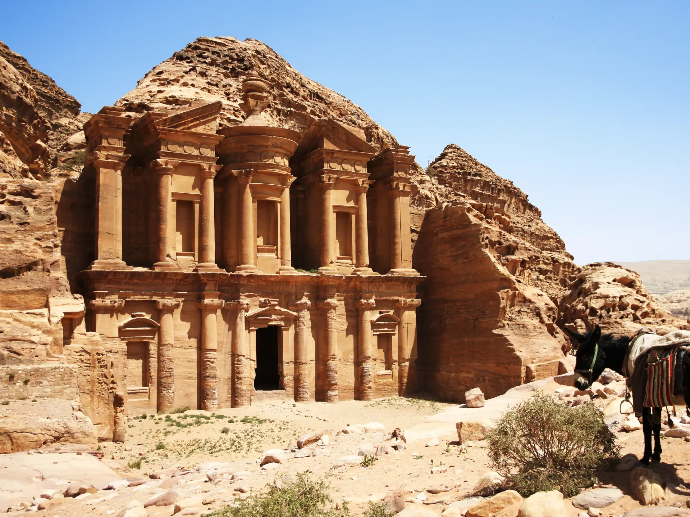 Ein gesattelter Esel im Vordergrund vor der monumentalen, sonnenbeschienenen Fassade des Klosters Ad-Deir in Petra, Jordanien.