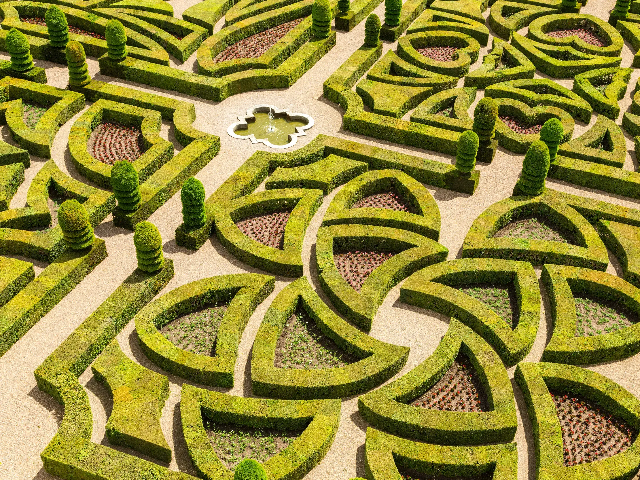 Aufwändig gestaltete Ziergärten von Schloss Villandry im Loiretal: grüne Buchsbaumhecken bilden geometrische Muster.