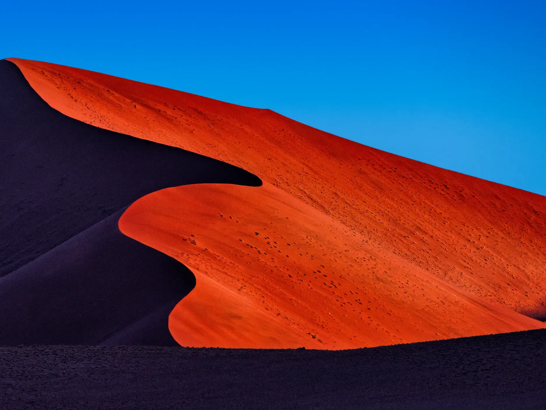 Ein S-förmiger Dünenkamm im Sossusvlei, dessen eine Seite orangerot von der Sonne leuchtet, die andere liegt im Schatten.