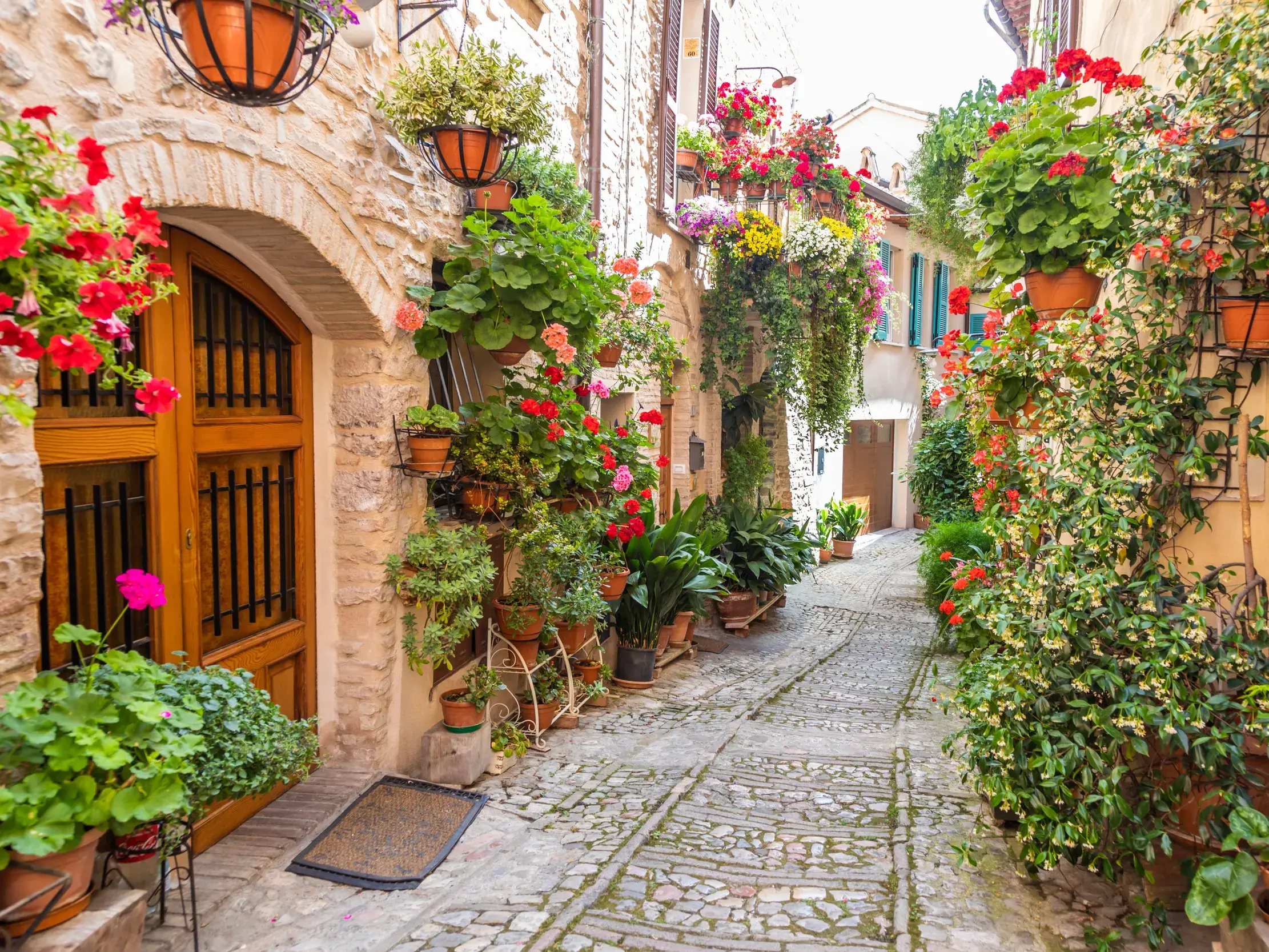 Verwinkelte Kopfsteinpflastergasse in der Altstadt von Assisi, gesäumt von alten Steinhäusern mit üppigem Blumenschmuck.