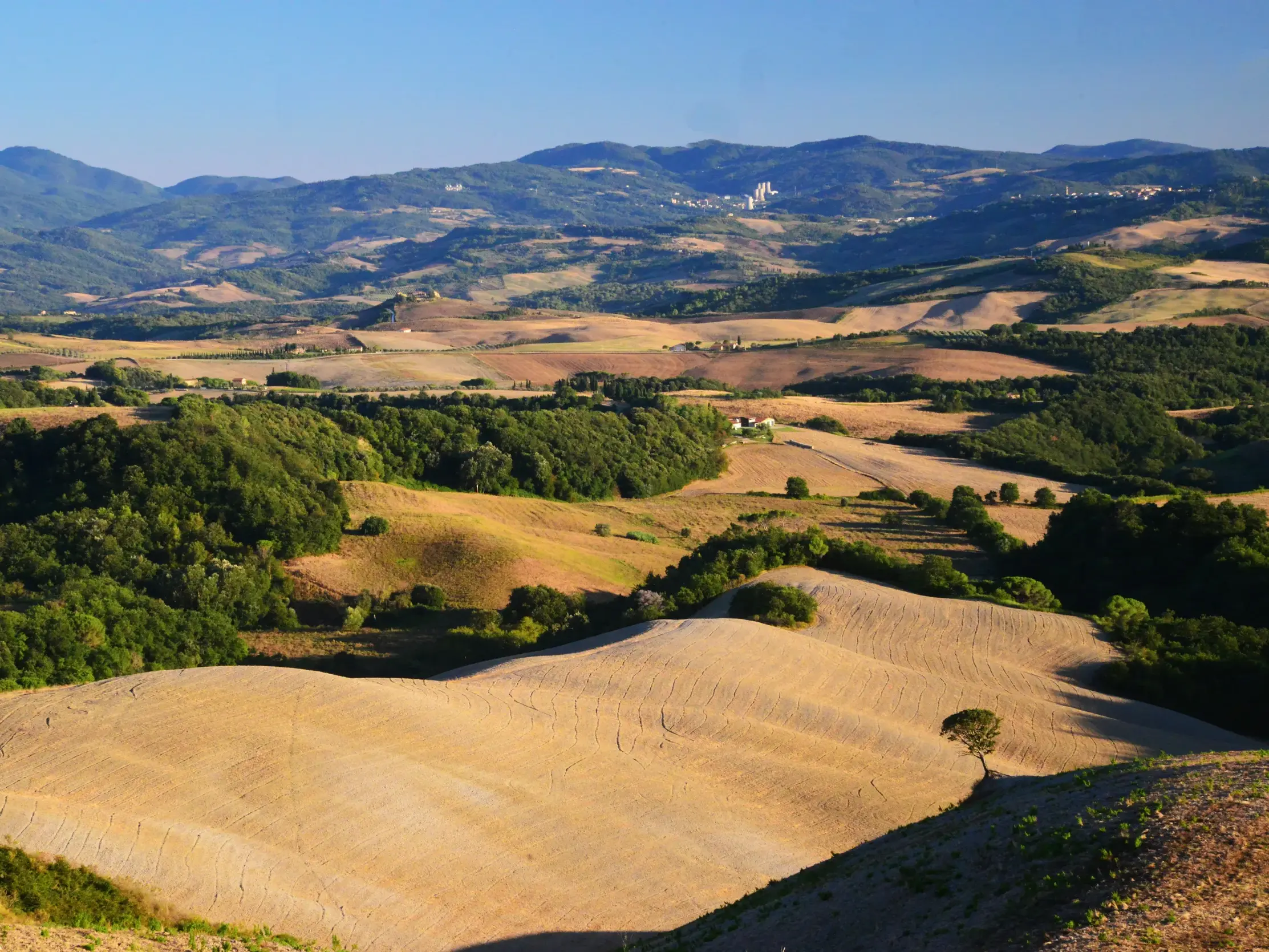 Weitblick beim Wandern über die sanft geschwungene Hügellandschaft des Val d'Orcia in der Toskana bei Sonnenschein.