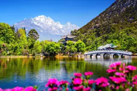 Idyllischer Schwarzer Drachen See in Lijiang mit einer Bogenbrücke und Pagode vor der Kulisse des Jade-Drachen-Schneebergs.