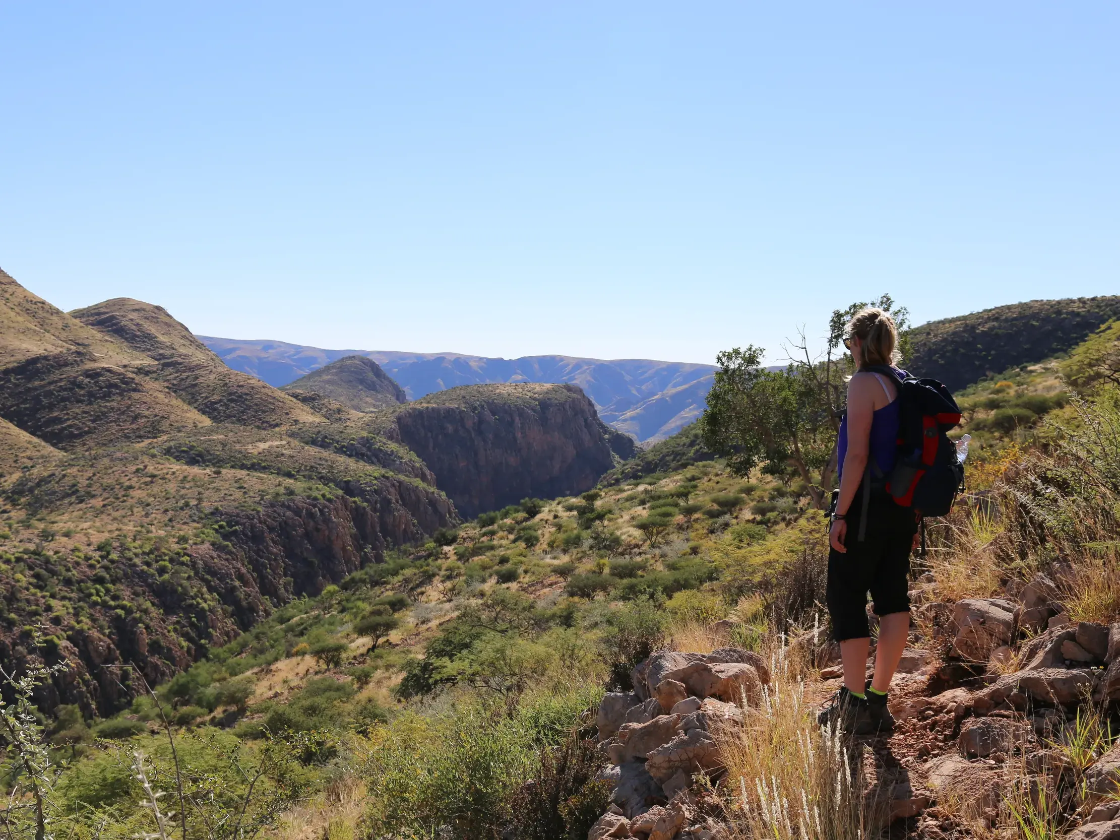 Wanderin mit Rucksack blickt von einem steinigen Pfad über die weite, grüne Schlucht der Naukluftberge in Namibia.