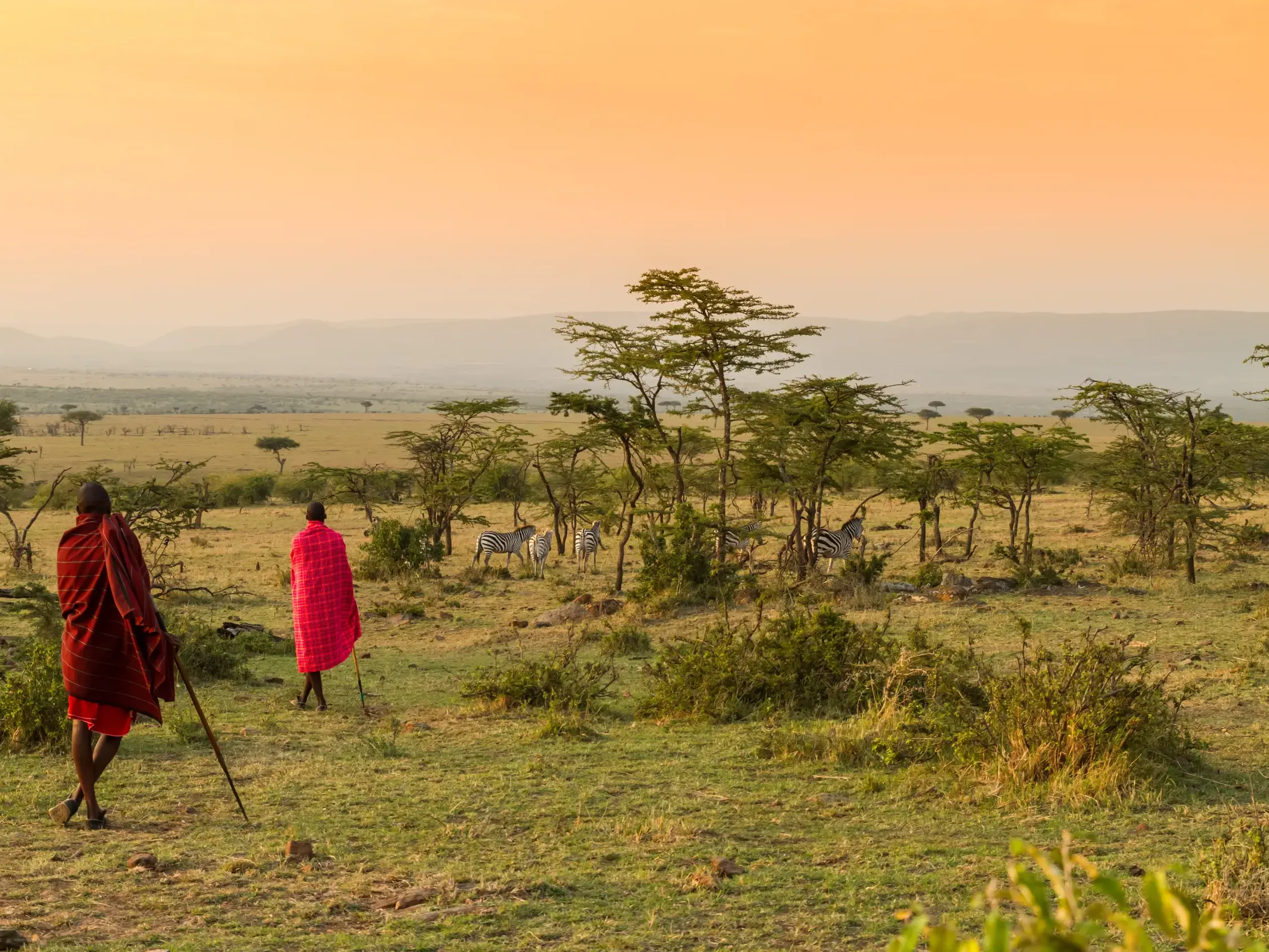 Zwei Massai-Guides in roten Gewändern blicken bei Sonnenuntergang über die weite Savanne der Loita Hills mit Zebras.