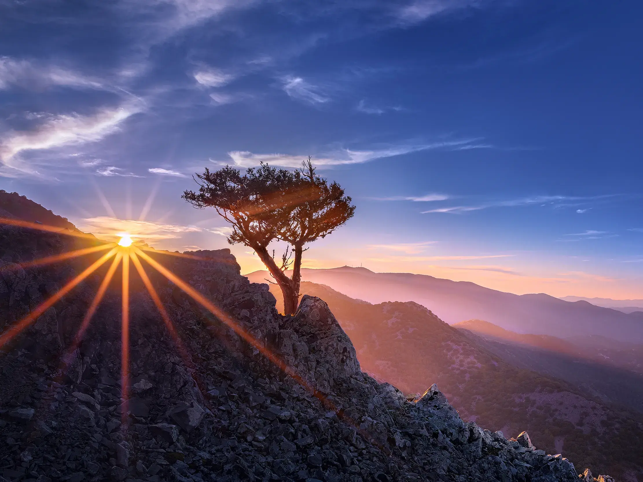 Stimmungsvoller Sonnenuntergang im Troodosgebirge auf Zypern mit einem Baum auf einem Felsgrat und Bergsilhouetten am Horizont.