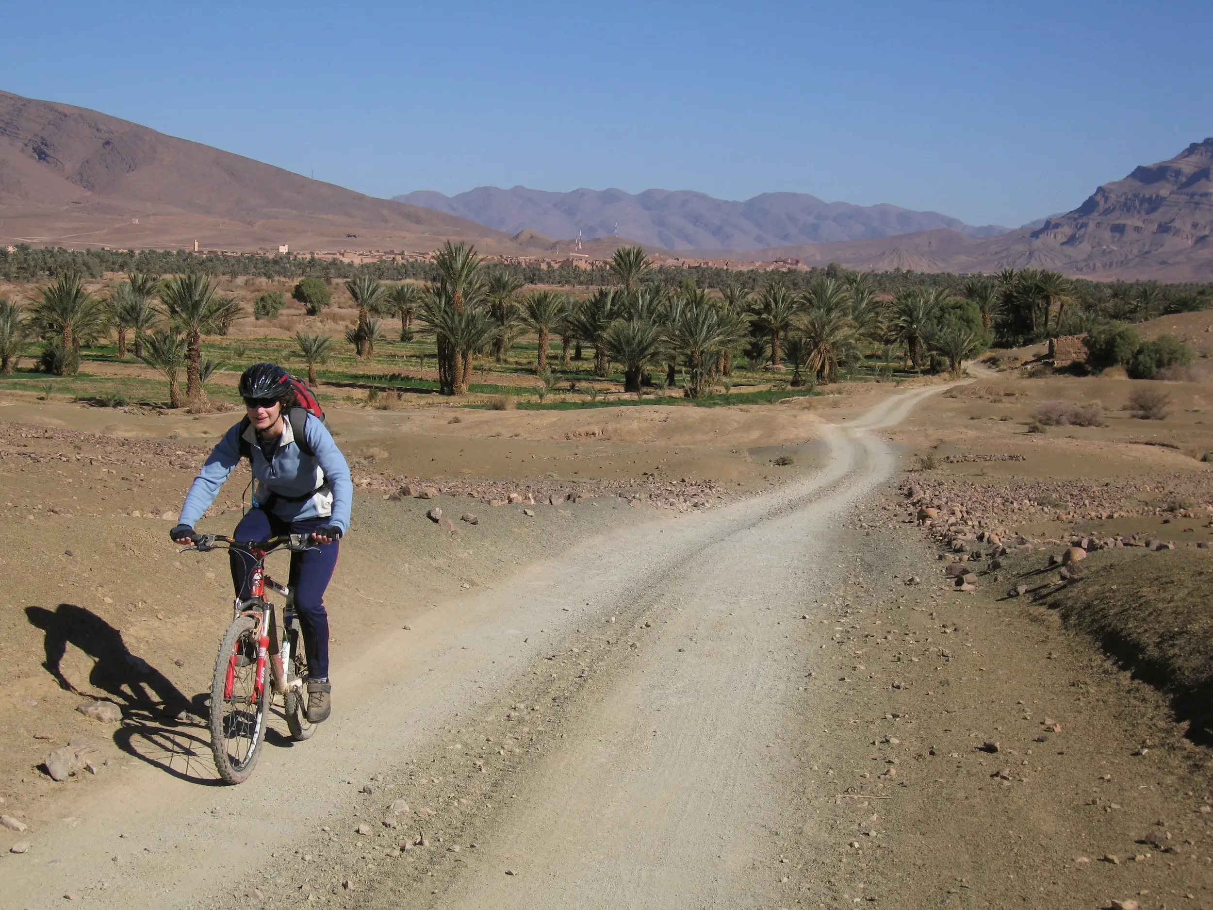 Eine Radfahrerin auf einer Mountainbike-Etappe auf einer Piste vorbei an einer Palmenoase im Jebel Sarhro Gebirge in Marokko.