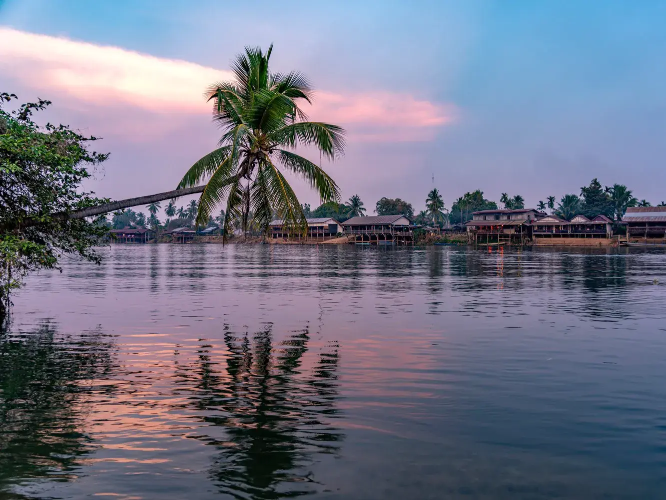 Idyllische Abenddämmerung am Mekong in Laos: Eine Palme neigt sich über das ruhige Wasser vor einem Dorf mit Stelzenhäusern.
