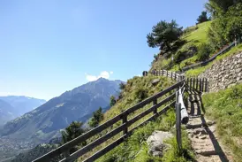 Ein sonniger Wanderweg mit Holzzaun führt hoch über dem Vinschgau entlang und bietet ein Panorama auf die Texelgruppe.