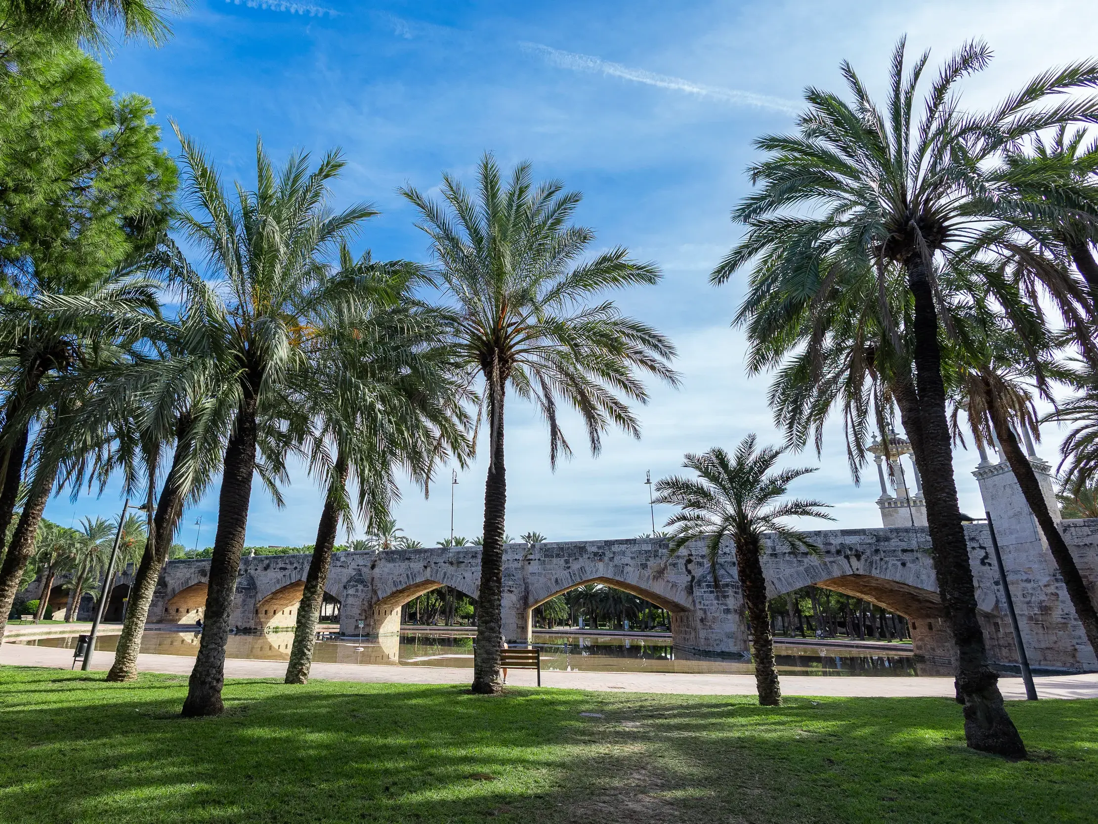 Eine alte Steinbrücke im trockengelegten Flussbett des Turia-Parks in Valencia, gesäumt von Palmen unter blauem Himmel.