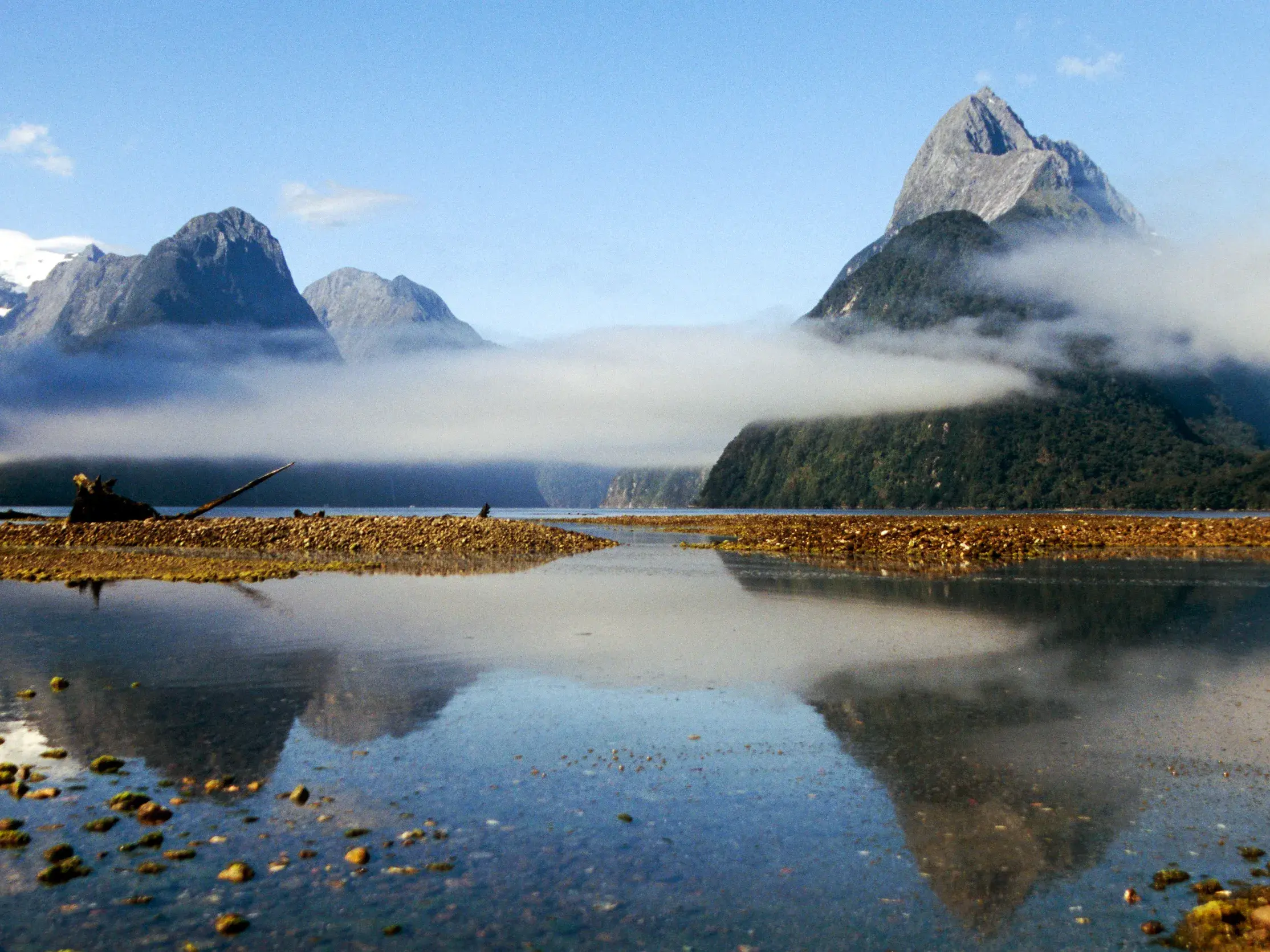 Der majestätische Mitre Peak im neuseeländischen Milford Sound, umgeben von Nebel, spiegelt sich im ruhigen Fjordwasser.